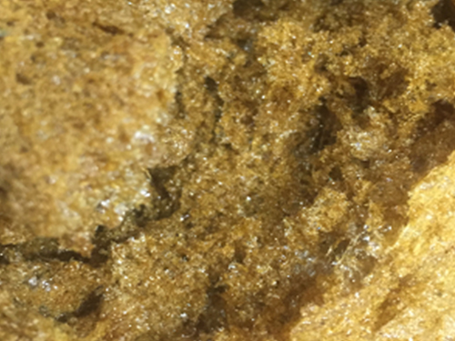 微波真空膨化干燥的 中藥浸膏