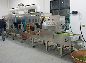 32kw 微波隧道式茶葉殺青烘干提香機