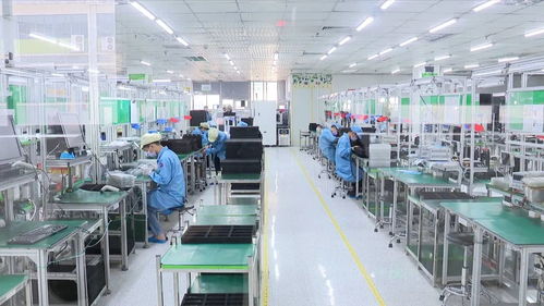 丁紅都強(qiáng)調(diào) 統(tǒng)籌抓好疫情防控與經(jīng)濟(jì)社會(huì)發(fā)展，以廣東網(wǎng)絡(luò)技術(shù)服務(wù)賦能雙線戰(zhàn)役